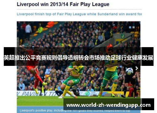 英超推出公平竞赛规则倡导透明转会市场推动足球行业健康发展
