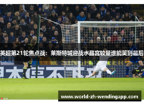 英超第21轮焦点战:莱斯特城迎战水晶宫较量谁能笑到最后 英超第21轮焦点战:莱斯特城迎战水晶宫较量谁能笑到最后