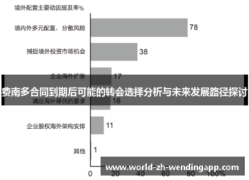 费南多合同到期后可能的转会选择分析与未来发展路径探讨