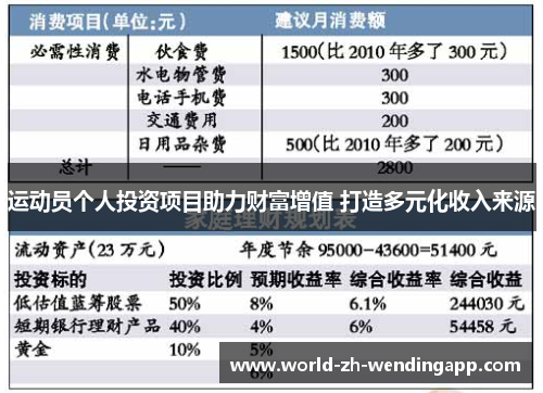 运动员个人投资项目助力财富增值 打造多元化收入来源