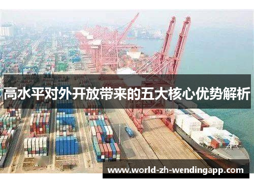 高水平对外开放带来的五大核心优势解析