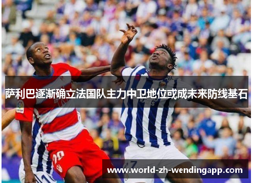 萨利巴逐渐确立法国队主力中卫地位或成未来防线基石